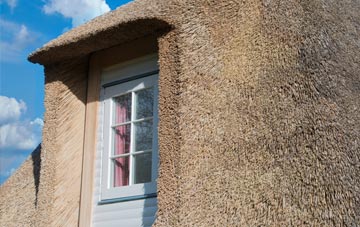 Southway thatch roof disadvantages