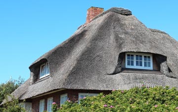 thatch roofing Southway